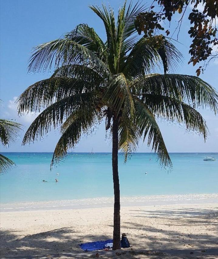 Happiness 3 Bedroom Luxury With Private Pool, Near Amenities And Beaches Mauritius Grand Baie
